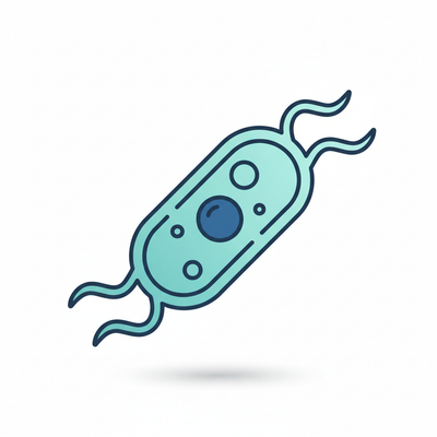 🦠 The Disease That Shows No Symptoms Until It's Too Late