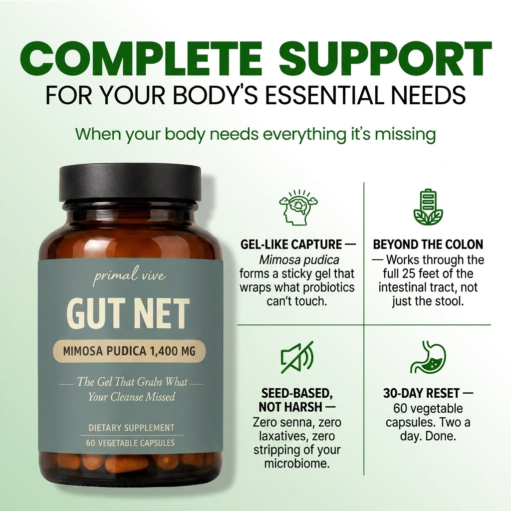Gut Net — position 3