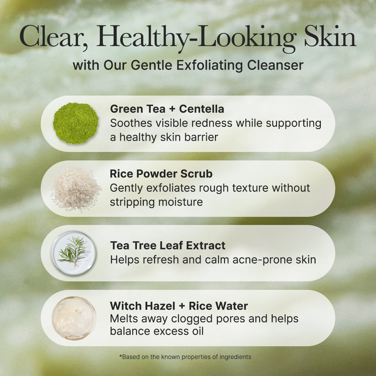 Rice Mochi Glow Cleanser