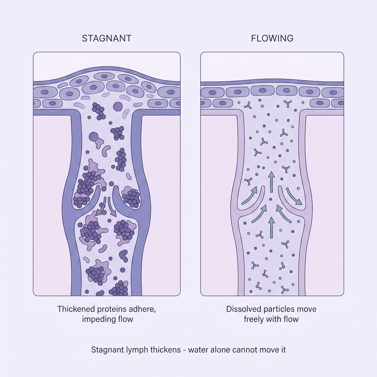 The fluid your body forgot to drain