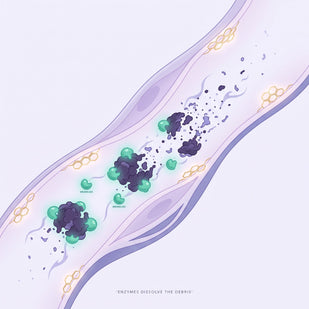 Enzymes dissolve the debris