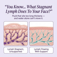 Lymph Flow gallery — stagnant vs flowing diagram