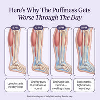 Lymph Flow gallery — illustrative daily pooling timeline