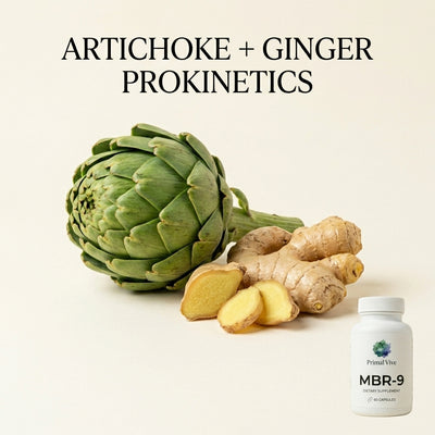 Prokinetic Plant Actives