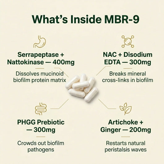 PrimalVive® MBR-9