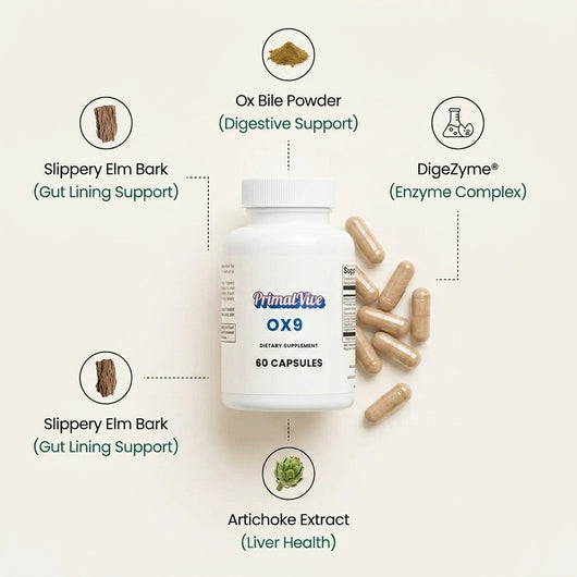 PrimalVive OX9 digestive support ingredients