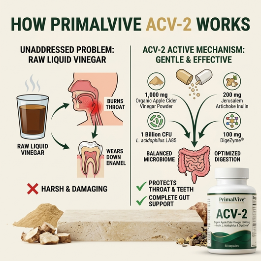 PrimalVive ACV-2 pv-acv2-g3-mechanism.png