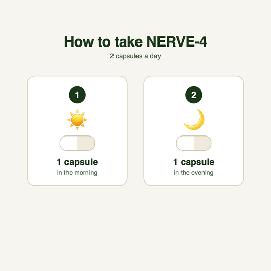 How to take NERVE-4: 1 capsule in the morning, 1 capsule in the evening