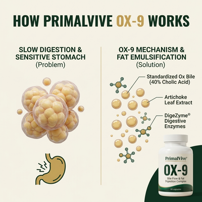 PrimalVive OX-9 pv-ox9-g3-mechanism.png