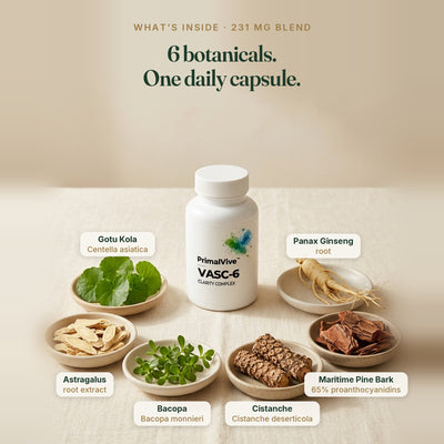 PrimalVive VASC-6 | Gotu Kola, Maritime Pine Bark 65%, Bacopa, Cistanche & Ginseng Complex