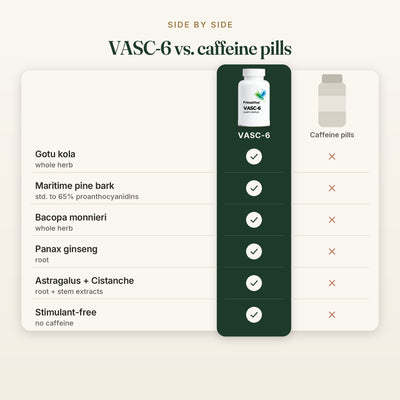 PrimalVive VASC-6 | Gotu Kola, Maritime Pine Bark 65%, Bacopa, Cistanche & Ginseng Complex