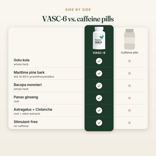 PrimalVive VASC-6 | Gotu Kola, Maritime Pine Bark 65%, Bacopa, Cistanche & Ginseng Complex